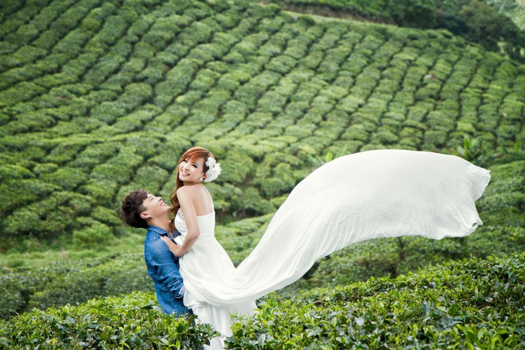Most Romantic Honeymoon Places Of Kerala India Travel Blog