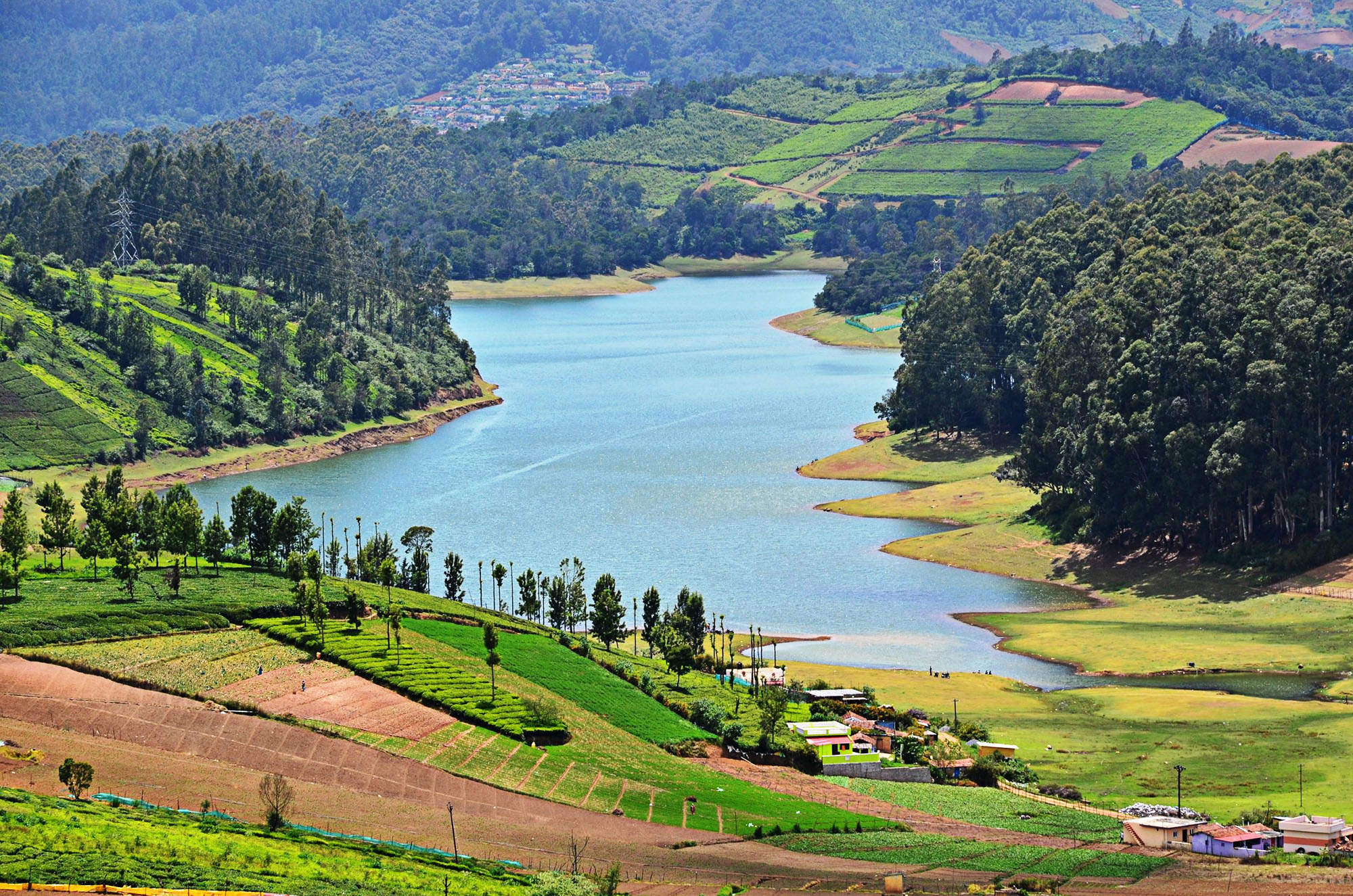ooty elk hill tourist places
