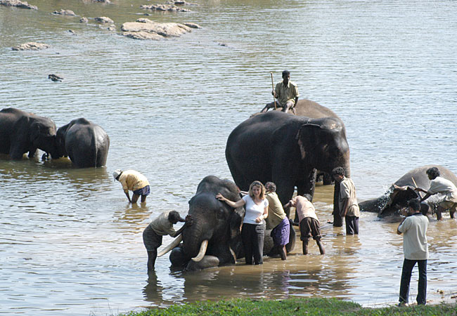 elephant experience in India