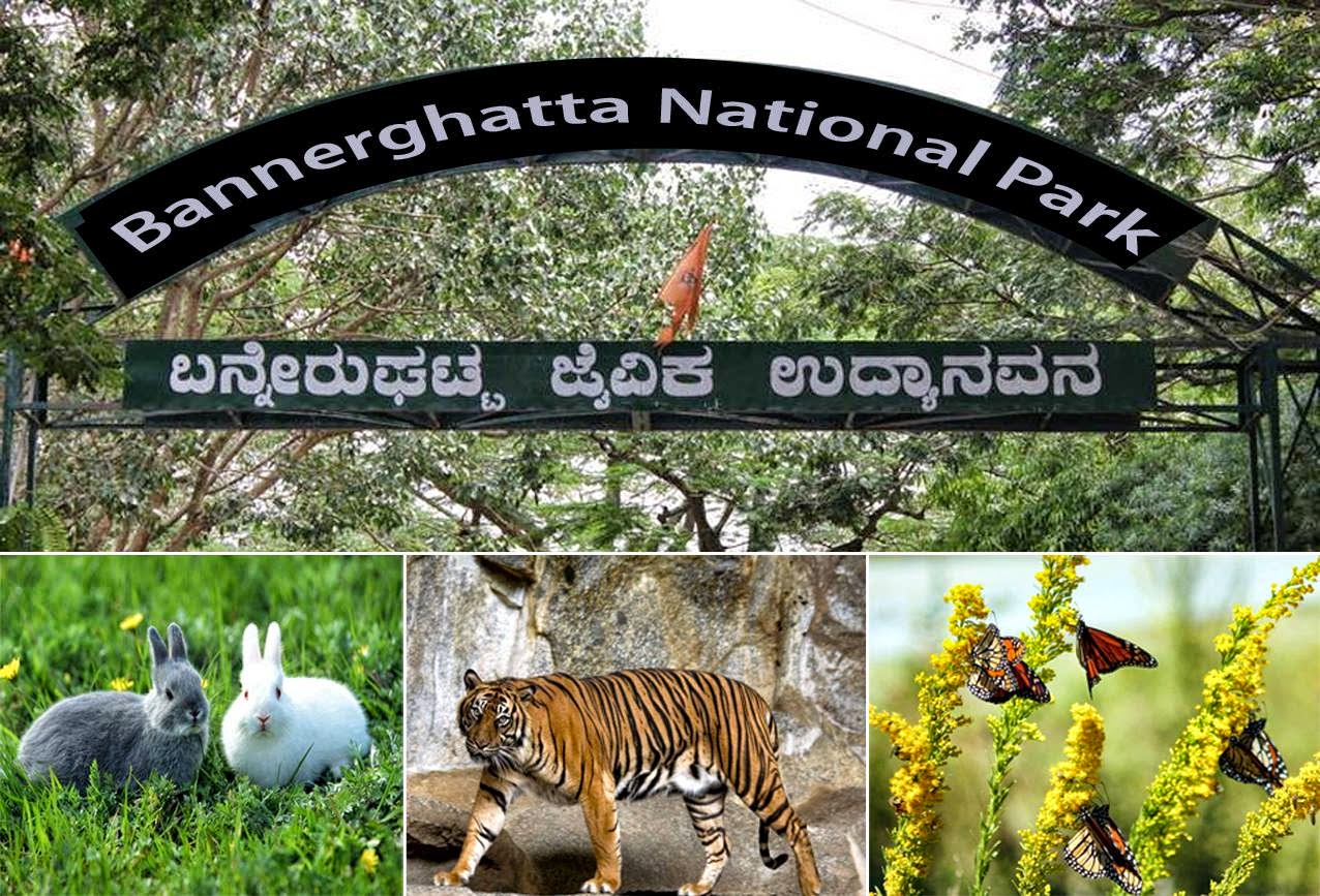 Karnataka National Park